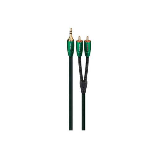 Audioquest Evergreen | Câble 3,5mm à RCA - Fiche RCA plaqués Or - 1 Mètre-Sonxplus St-Georges