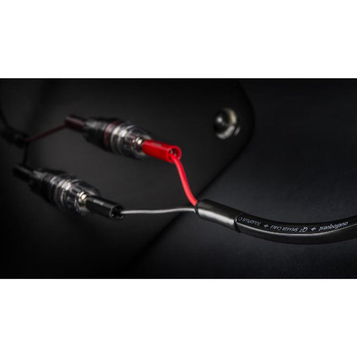 Audioquest Q2 | Câble haut-parleur - Conducteur interne en cuivre à grain long (LGC) - 10 Pieds-Sonxplus St-Georges