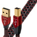 Audioquest Cinnamon | Câble USB A vers USB B - Version USB 2.0 - Conducteur en Argent massif à 1,25% - 0.75 Mètres-Sonxplus St-Georges