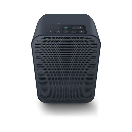 Bluesound PULSE FLEX 2i | Haut-parleur de diffusion multi-pièces - Sans fil - Portable - Bluetooth - Noir-Sonxplus St-Georges